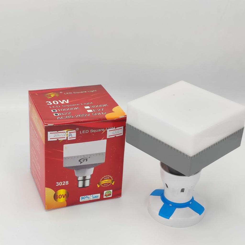 30W Brick
