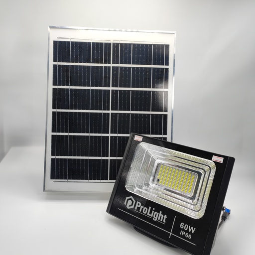 [105141] Pro Light 60W Slight